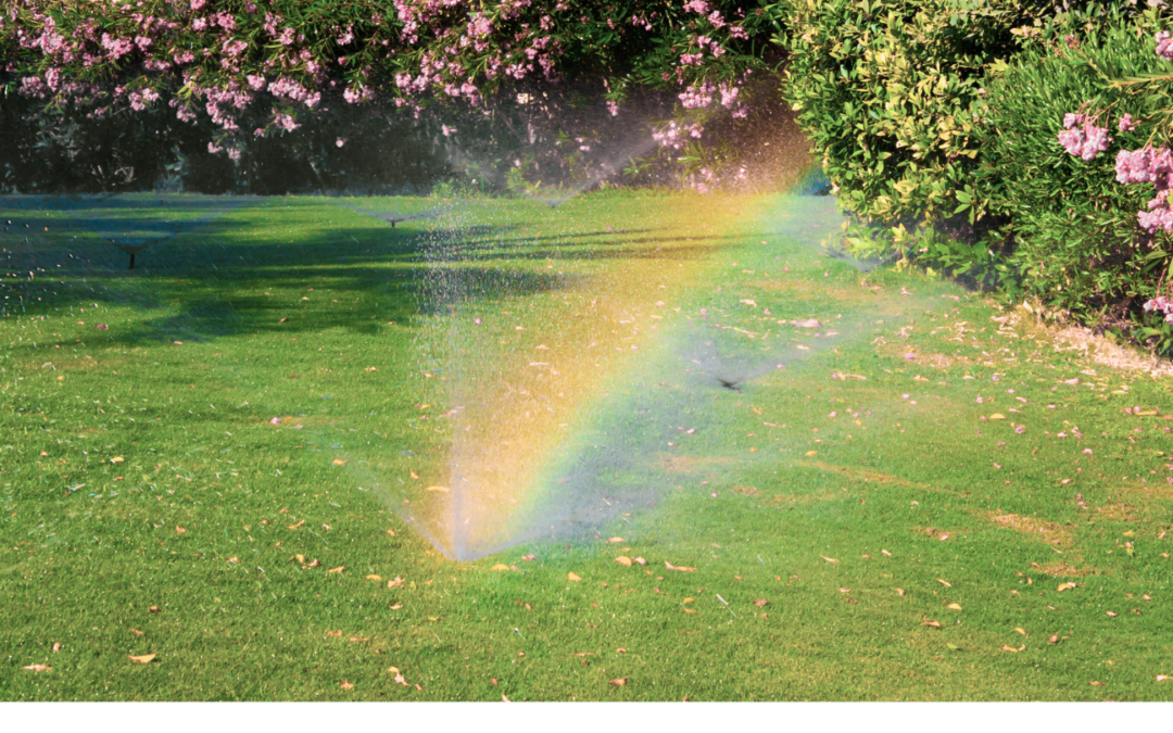 Why Hire a Professional Landscaper for Your Nanaimo Property